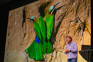 impressionen_2025-03-15-story-vs-afrika-05